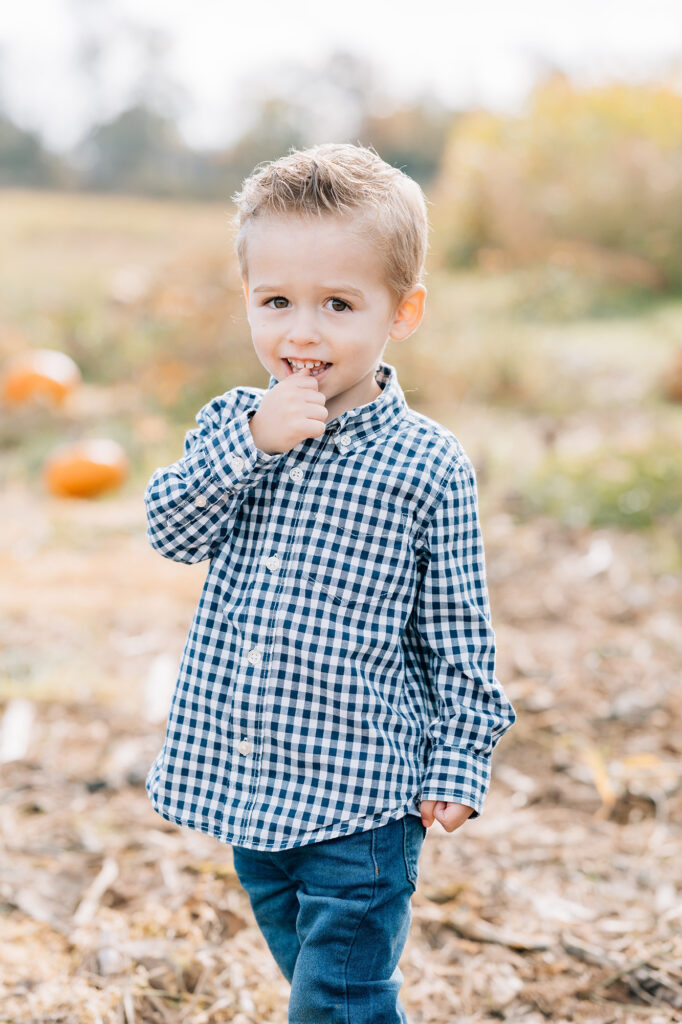 toddler boy poses at fall mini session in checkered blue button down shirt