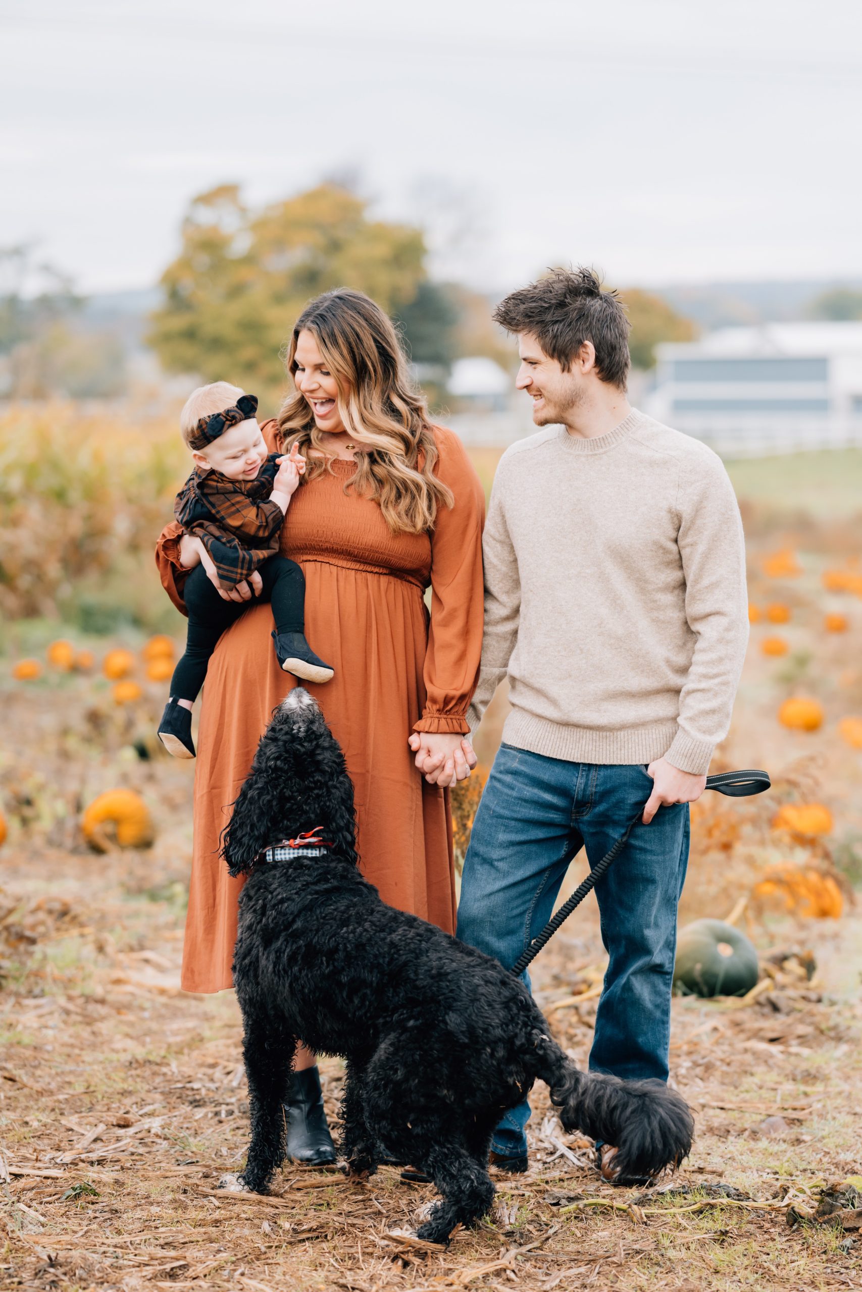 baby girl looks adoringly at puppy at Flemington Fall Mini Session | New Jersey Portrait Photographer | The Newman Family with Golden Heart Photography